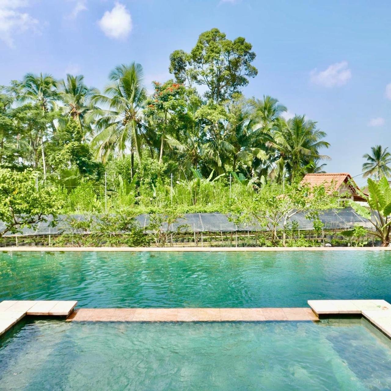 Pondok Is Oke Villa Scenic View Banyuwangi  Exterior foto
