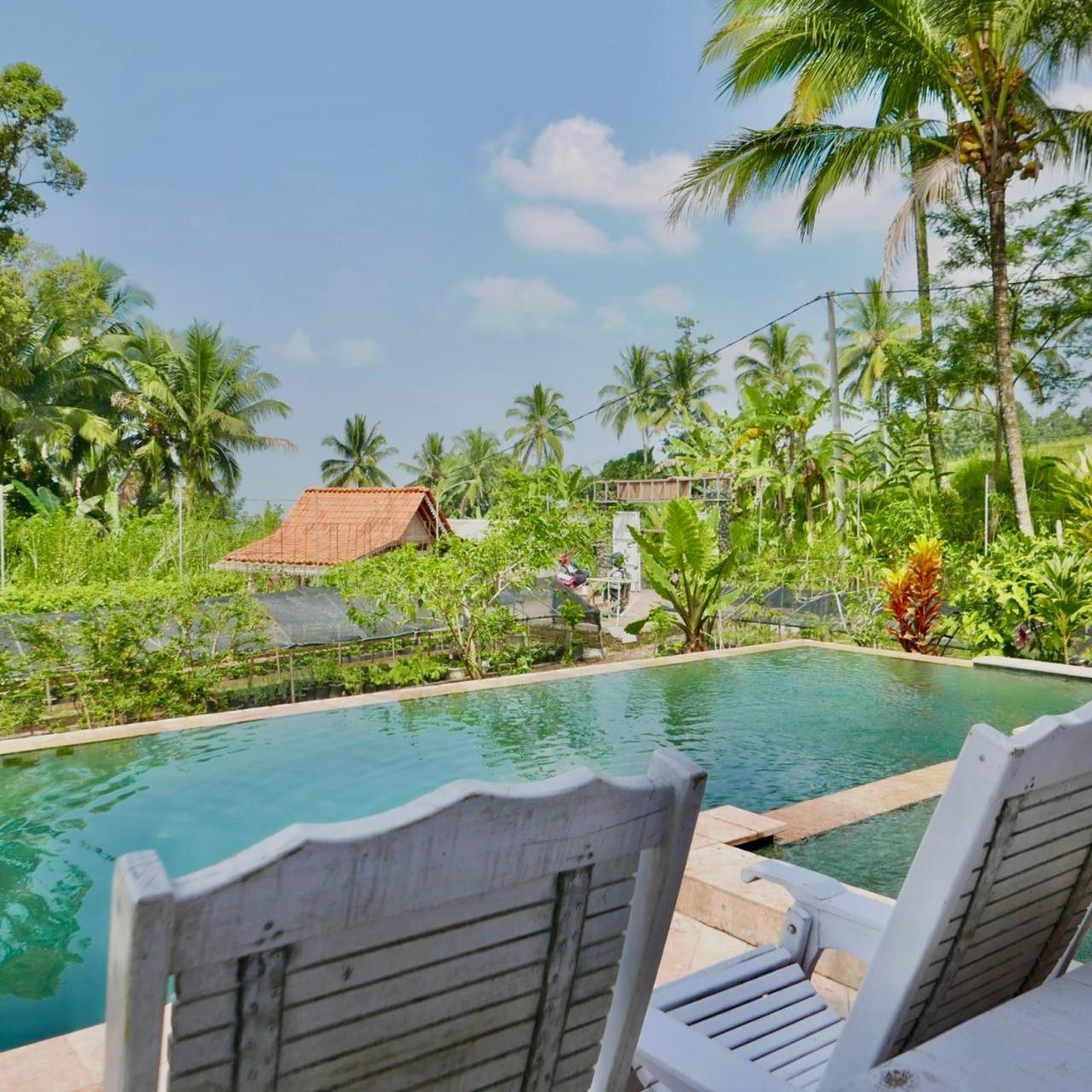 Pondok Is Oke Villa Scenic View Banyuwangi  Exterior foto